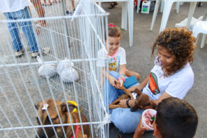 Adota Vitória: Amasvisa promove feira de adoção solidária de cães e gatos