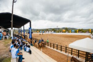 Projeto Brincadeiras no Parque leva 600 alunos para vivenciar a cultura da vaquejada em Vitória